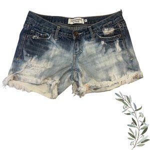 Abercrombie and Fitch Y2K Ombre Cutoff Low Rise Jean Shorts Size 00